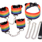 Kinky Pride Rainbow Bondage Set, Bondage Gear, BDSM Kit